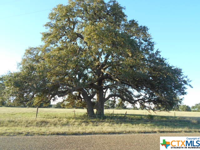 Photo 1 of 11 — 00 Bethke Rd Road, Goliad, TX 77963