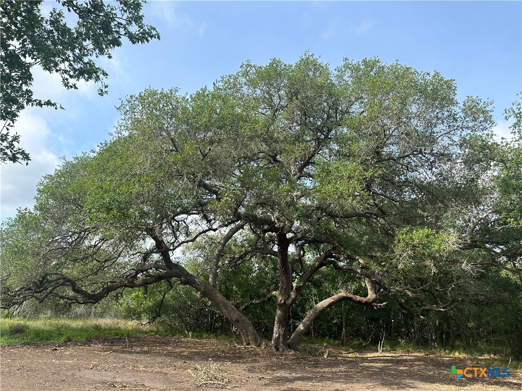 View Goliad, TX 77963 land