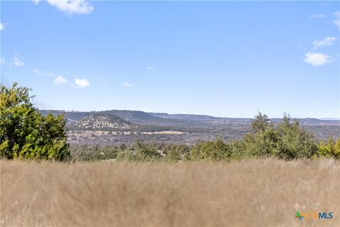 9069 Ranch Road 1323 Fredericksburg TX 78624