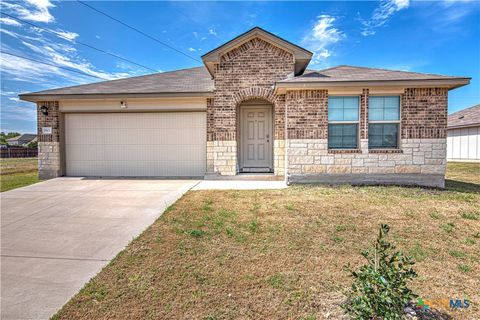 Photo of 9801 Kensley Rose Drive, Killeen, TX 76542 (MLS # 608620)