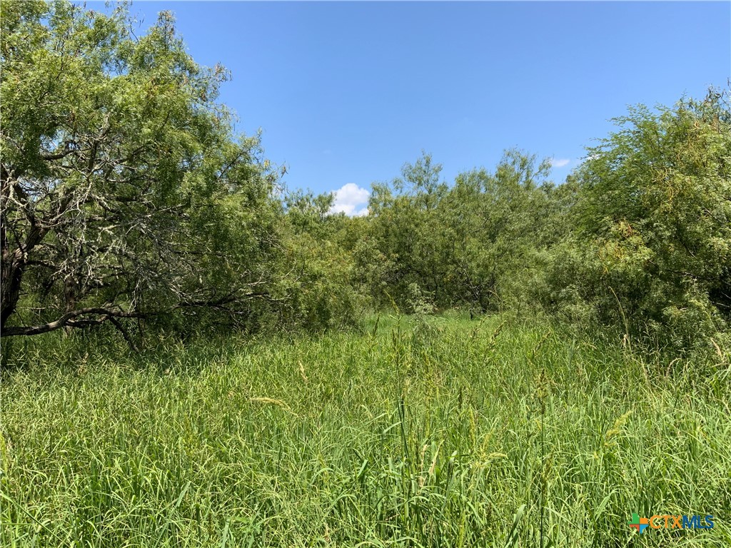 7 County Road 1144 7