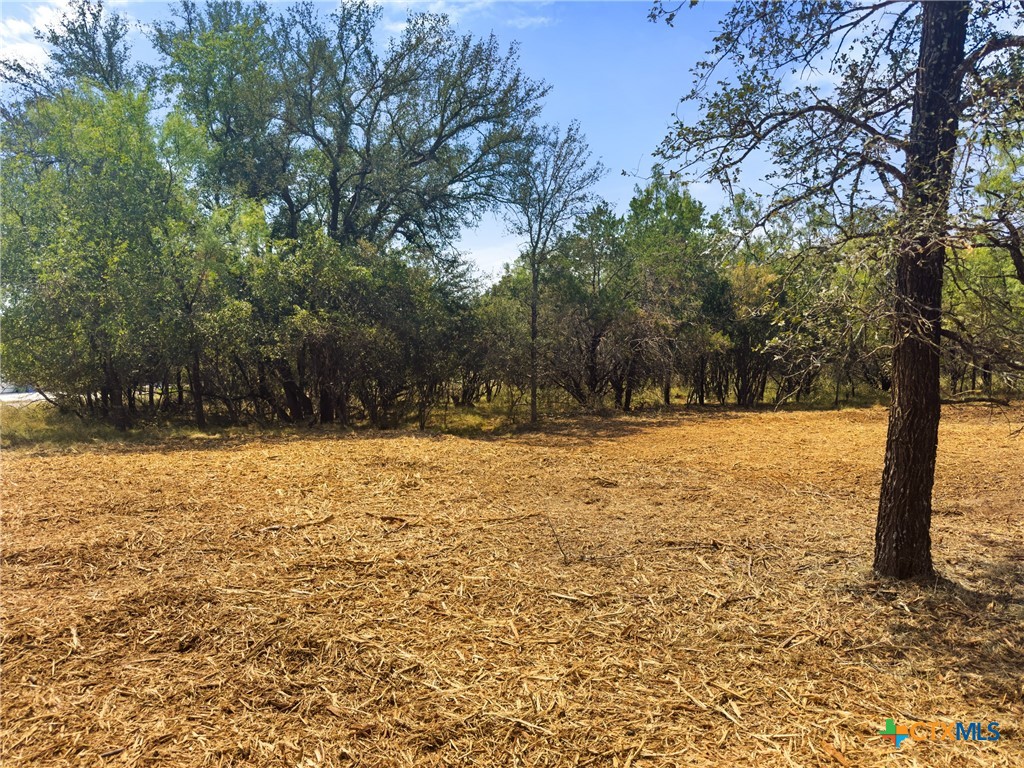 238 Sandy Mountain Drive