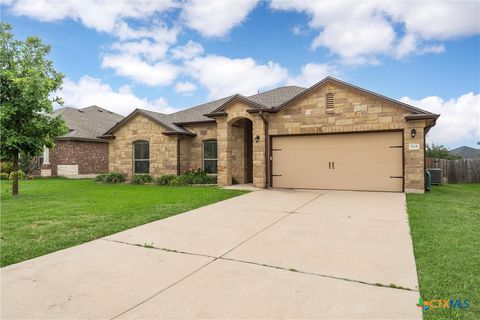 1115 Fawn Lily Drive Temple TX 76502