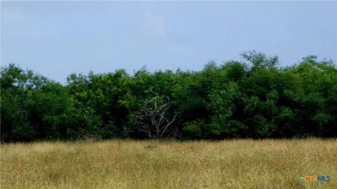 00 San Antonio River Road