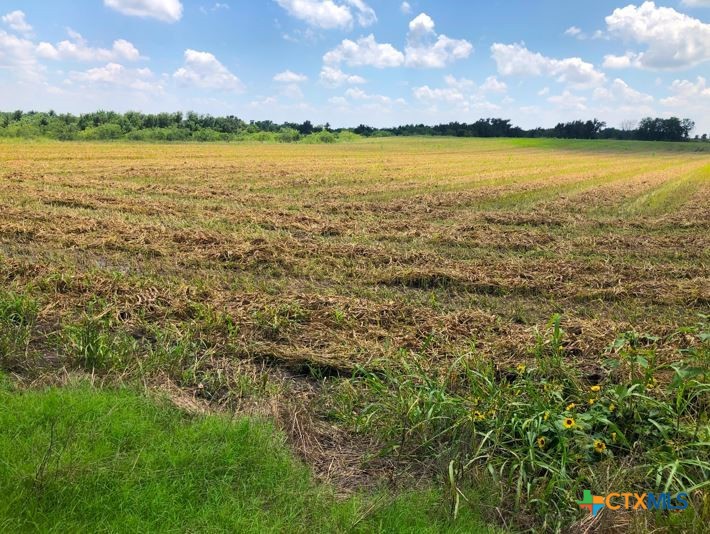 TBD County Road 421