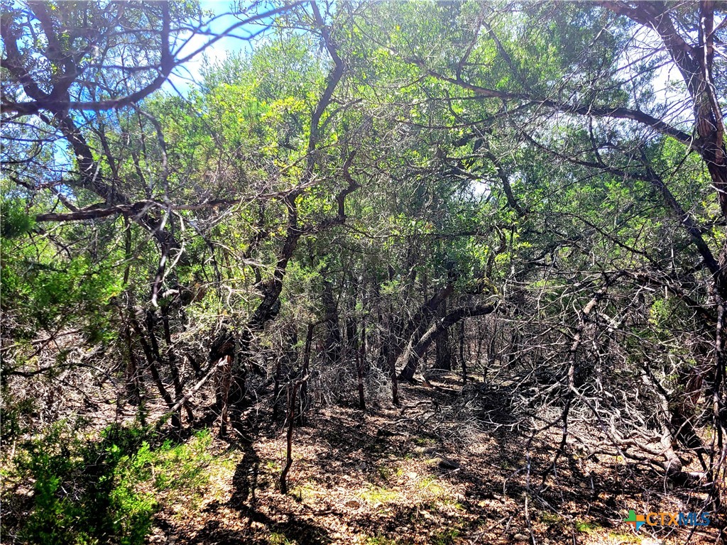 1680 Stallion Springs Drive