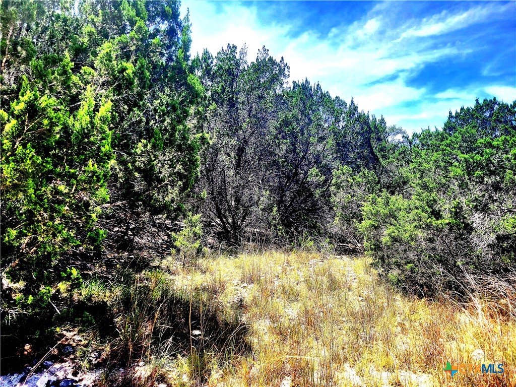 Photo 1 of 12 — 1680 Stallion Springs Drive, Fischer, TX 78623