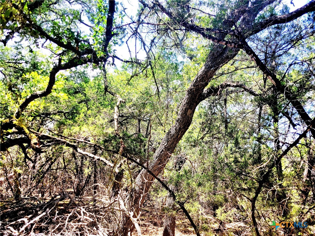 1680 Stallion Springs Drive