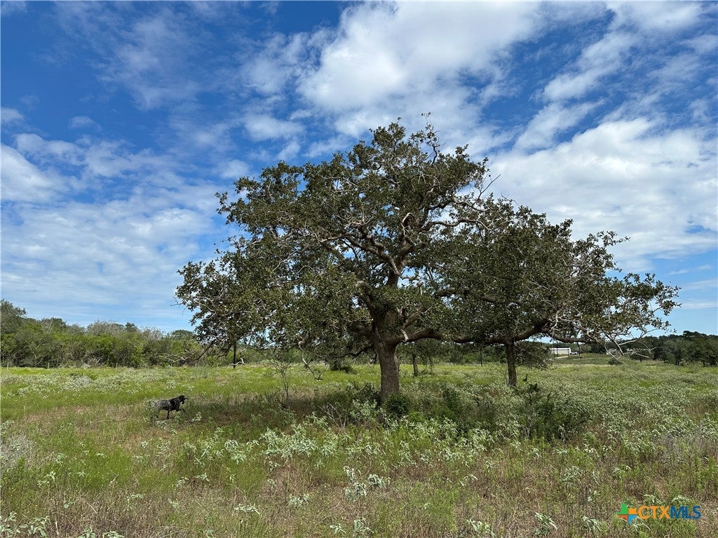 Tract 2 Regan Lane