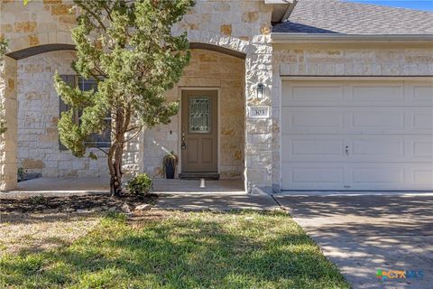 A home in Cedar Park