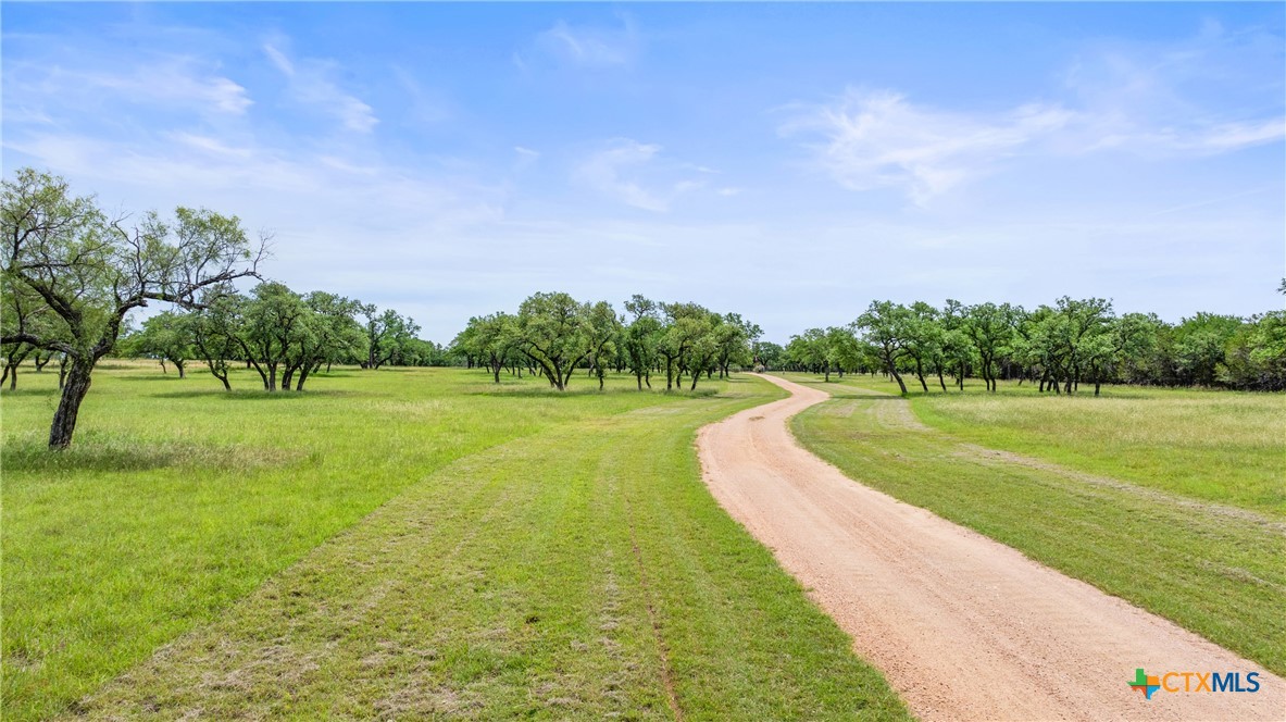 1241 Sandy Oaks Ranch Road
