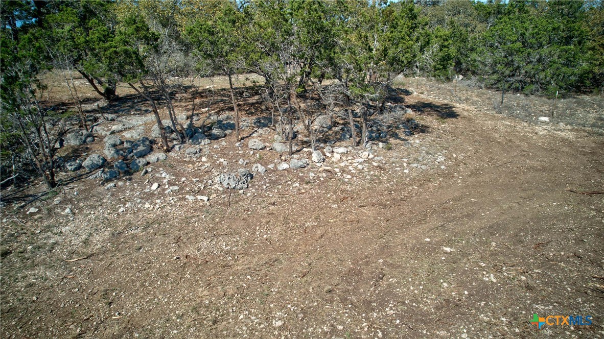 Spring Branch, Texas 78070, United States, ,Land,Active,86873