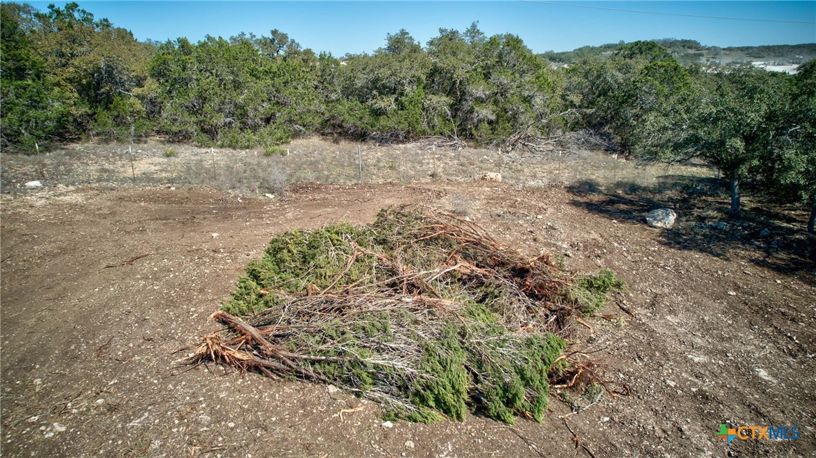 Spring Branch, Texas 78070, United States, ,Land,Active,86873