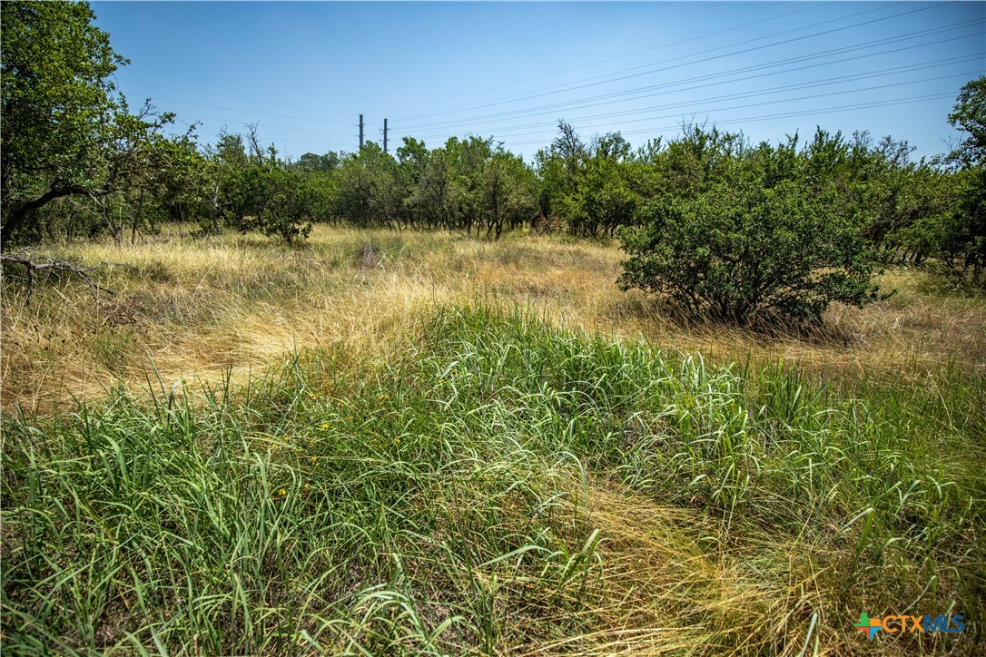 137 Steel Creek Crest