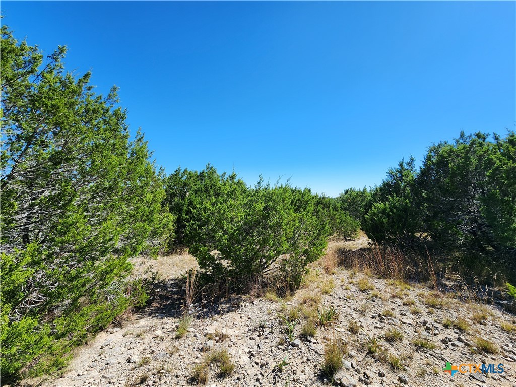 Lot 74 Bluff View Road