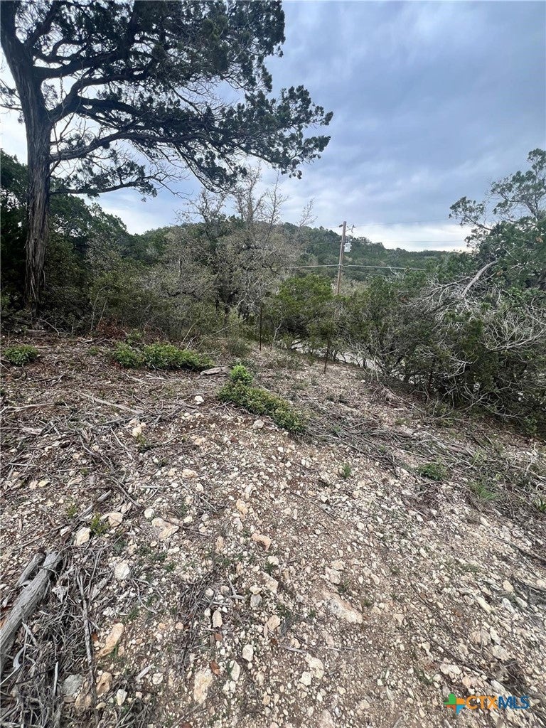 19705 Tyler Trail