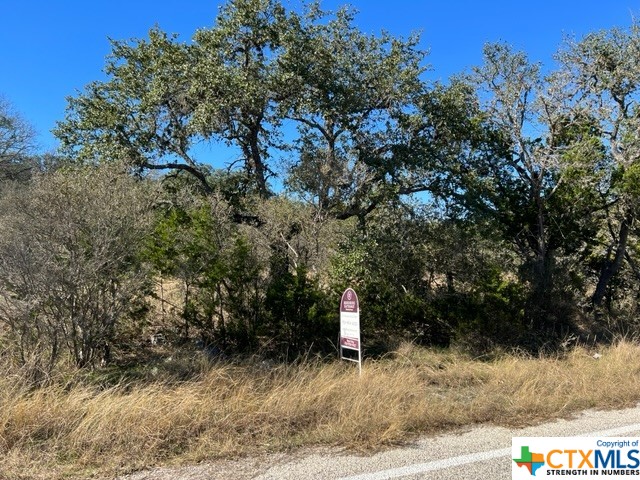 Spring Branch, Texas 78070, United States, ,Land,Pending,73655