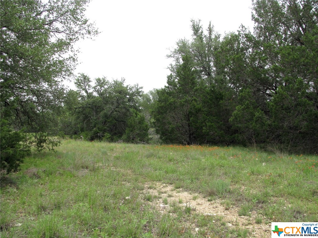 Photo 1 of 24 — Lot 41 Phase 6 PR42107, Evant, TX 76525