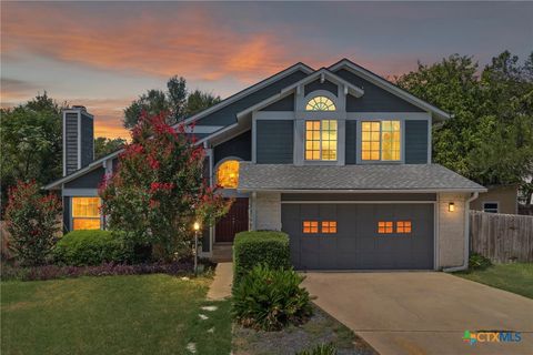 12601 Oro Valley Cove Austin TX 78729