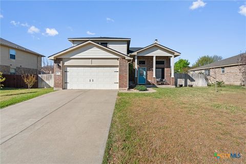 Photo of 516 Weeping Willow Drive, Temple, TX 76502 (MLS # 608334)