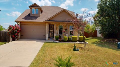 Photo of 209 Frio River Trail, Hutto, TX 78634 (MLS # 606661)