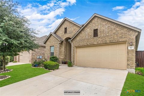 Photo of 109 Tulip Garden Trail, San Marcos, TX 78666 (MLS # 612713)