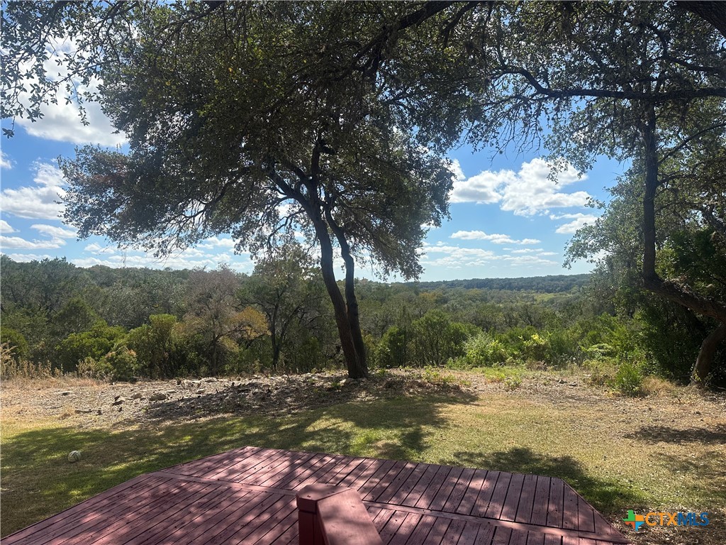 810 Bluff Ridge Court