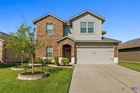 1042 Gaelic Drive Georgetown TX 78626