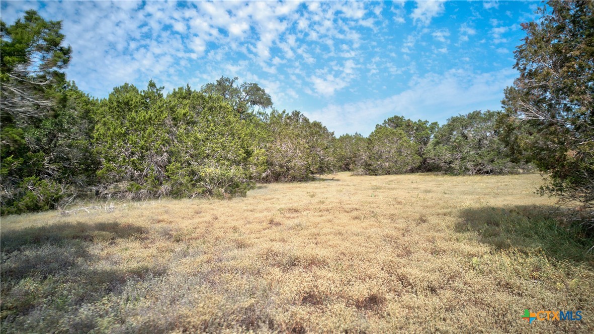 Spring Branch, Texas 78070, United States, ,Land,Active,46684