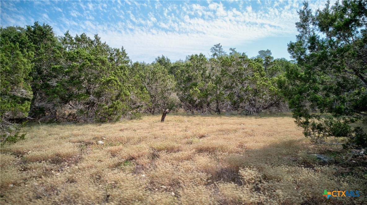Spring Branch, Texas 78070, United States, ,Land,Active,46684