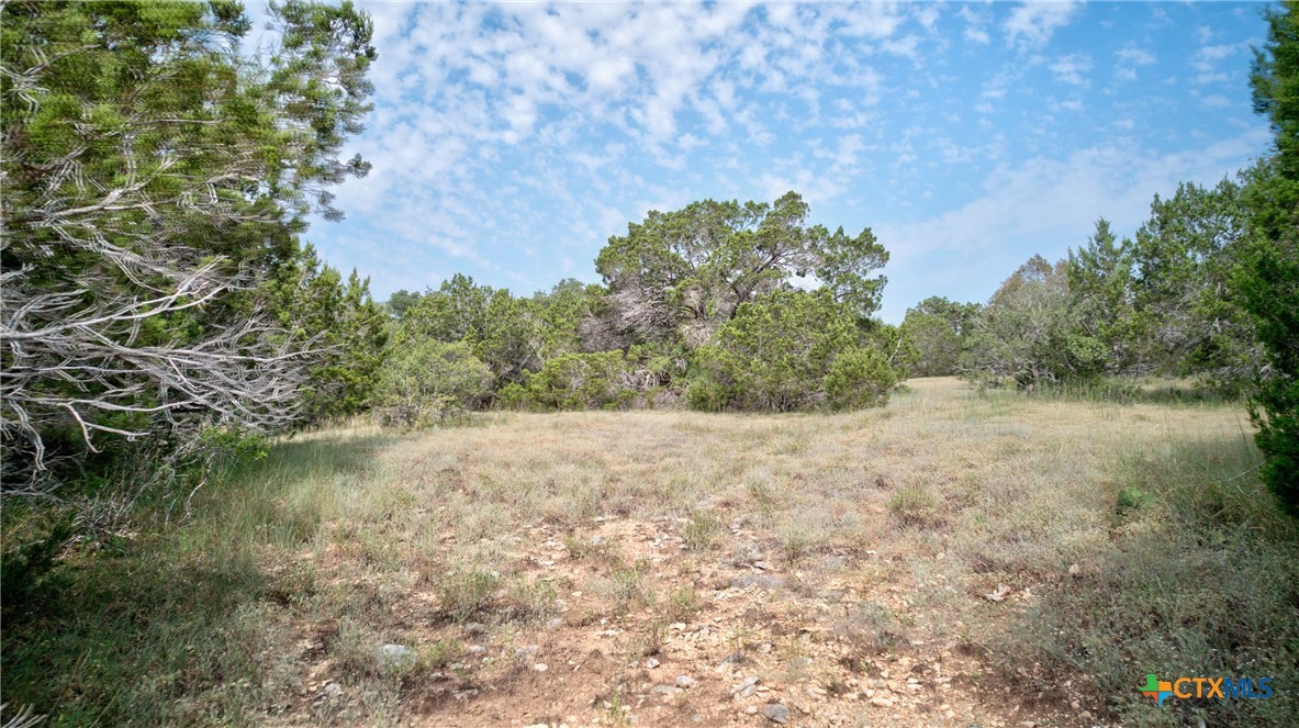 Spring Branch, Texas 78070, United States, ,Land,Active,46684