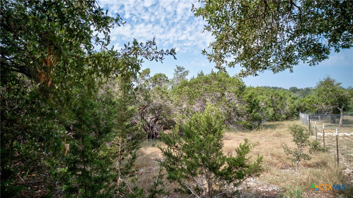 Spring Branch, Texas 78070, United States, ,Land,Active,46684