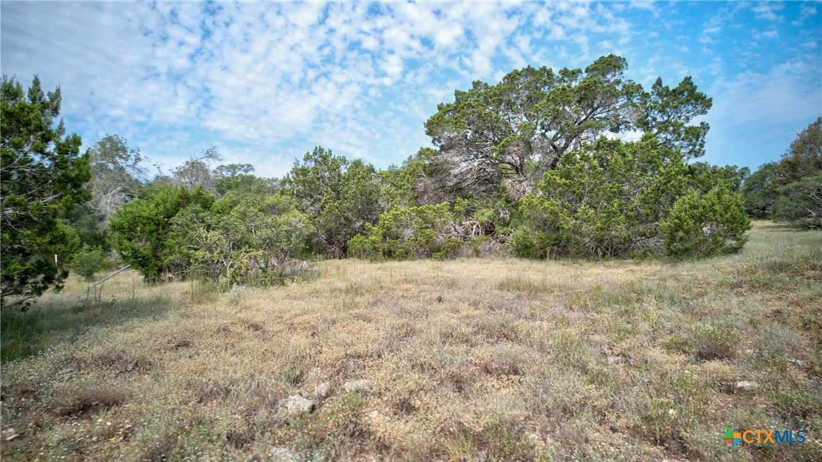 Spring Branch, Texas 78070, United States, ,Land,Active,46684