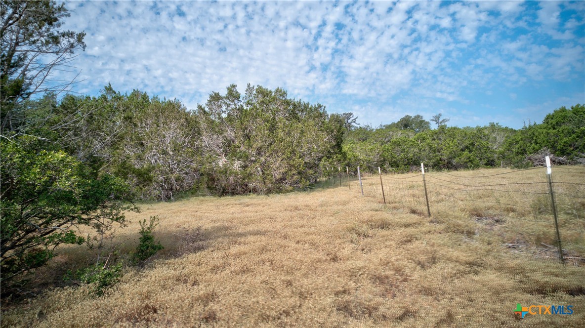 Spring Branch, Texas 78070, United States, ,Land,Active,46684