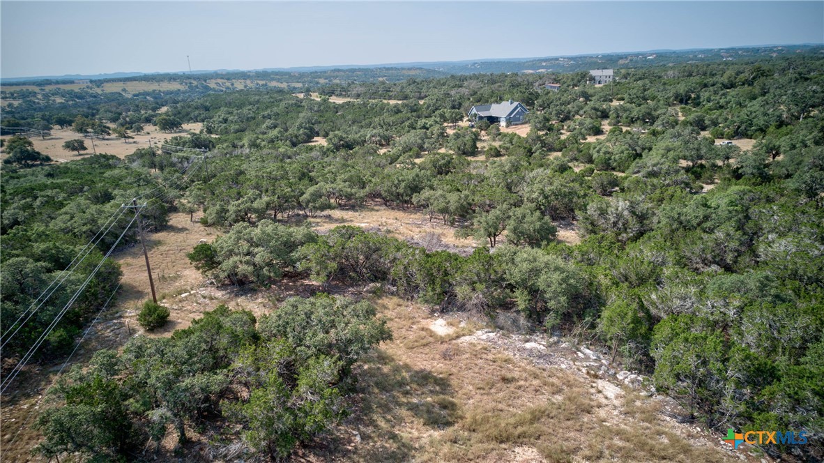 Spring Branch, Texas 78070, United States, ,Land,Active,46684