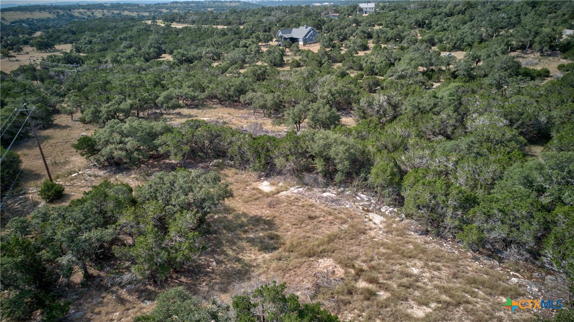 Spring Branch, Texas 78070, United States, ,Land,Active,46684