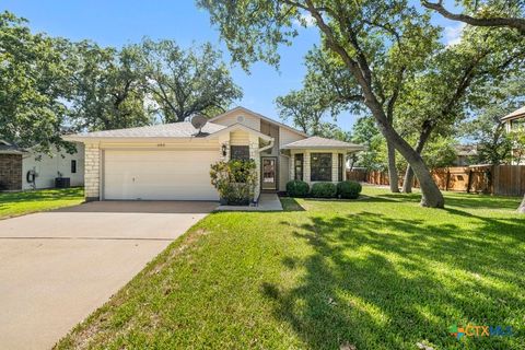 A home in Cedar Park