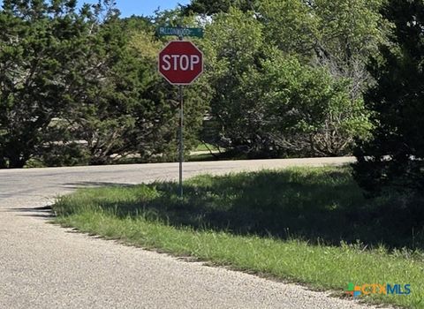 Photo of 343 Falconwood Drive, San Marcos, TX 78666 (MLS # 575999)