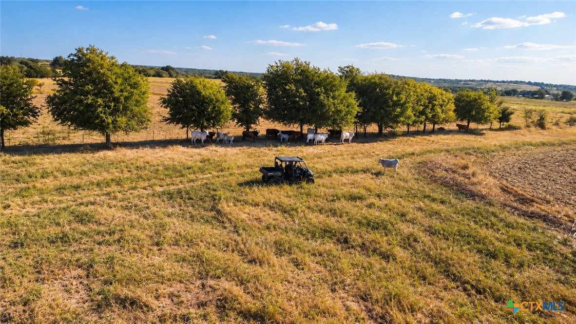 TBD Spring Valley Road