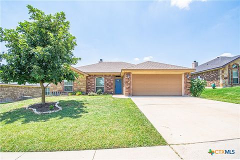 Photo of 3808 Anvil Range Road, Killeen, TX 76549 (MLS # 600259)
