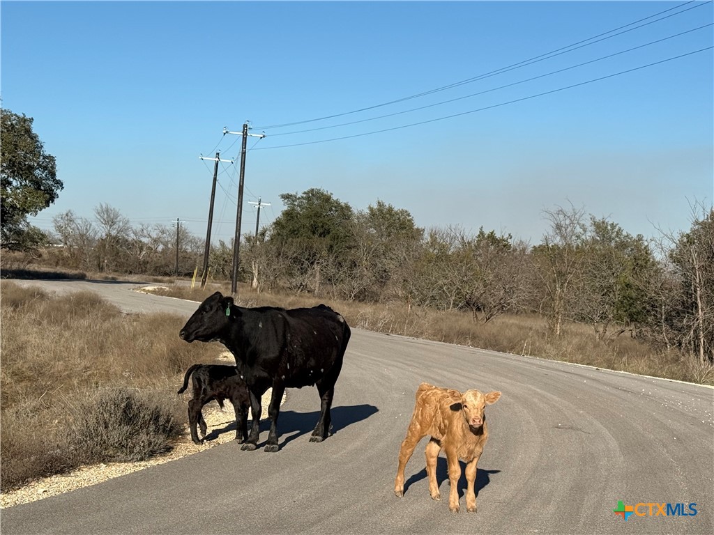 TBD King Ranch Trail