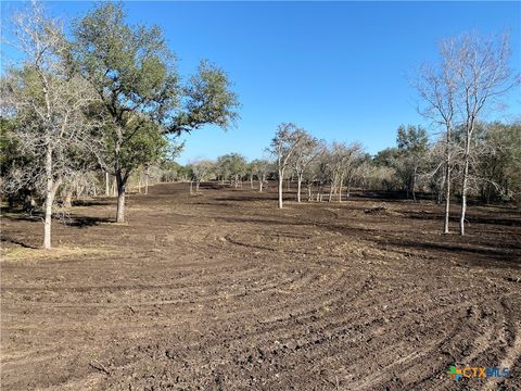 TBD FM 1351 Goliad TX 77963