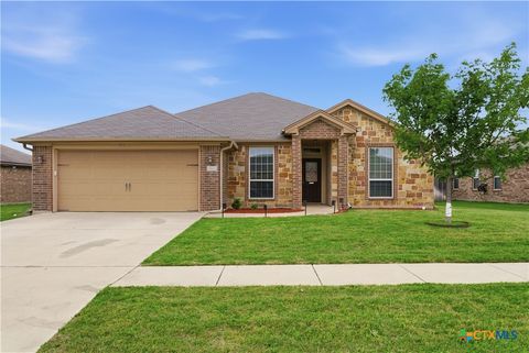 Photo of 9807 Kaitlyn Drive, Killeen, TX 76542 (MLS # 611190)