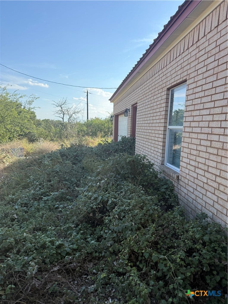 207 Armadillo Lane
