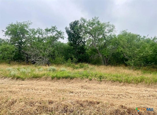 LOT 8 WISTERIA LANE, SMILEY, TX 78159 - Image 4bdd3ae0659dbbbc6557e2d5e7c5aa4a/2031236838
