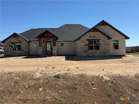 11043 Eagle Walk Boulevard Salado TX 76571