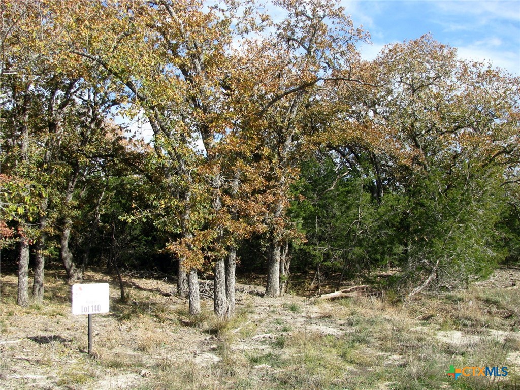 Photo 1 of 22 — Lot 140 Ph 6 County Road 421, Evant, TX 76566