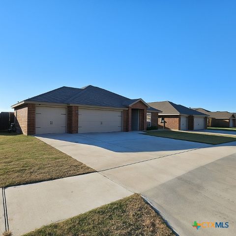 Photo of 4410 Molly Dyer Drive, Killeen, TX 76549 (MLS # 598920)