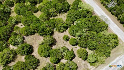 23045 NORTHRIDGE Whitney TX 76692