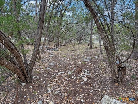 1084 Dog Leg Lane Spring Branch TX 78070